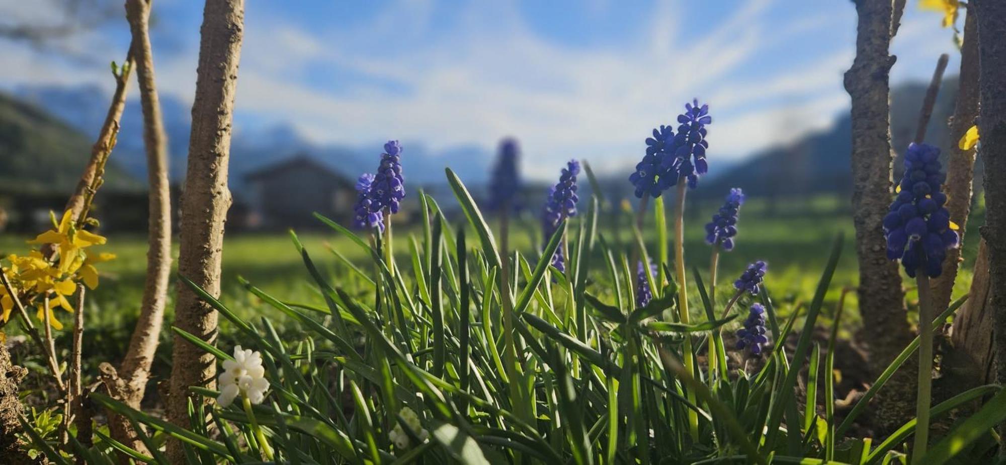 Ansitz Heufler Rasun Anterselva Exterior foto