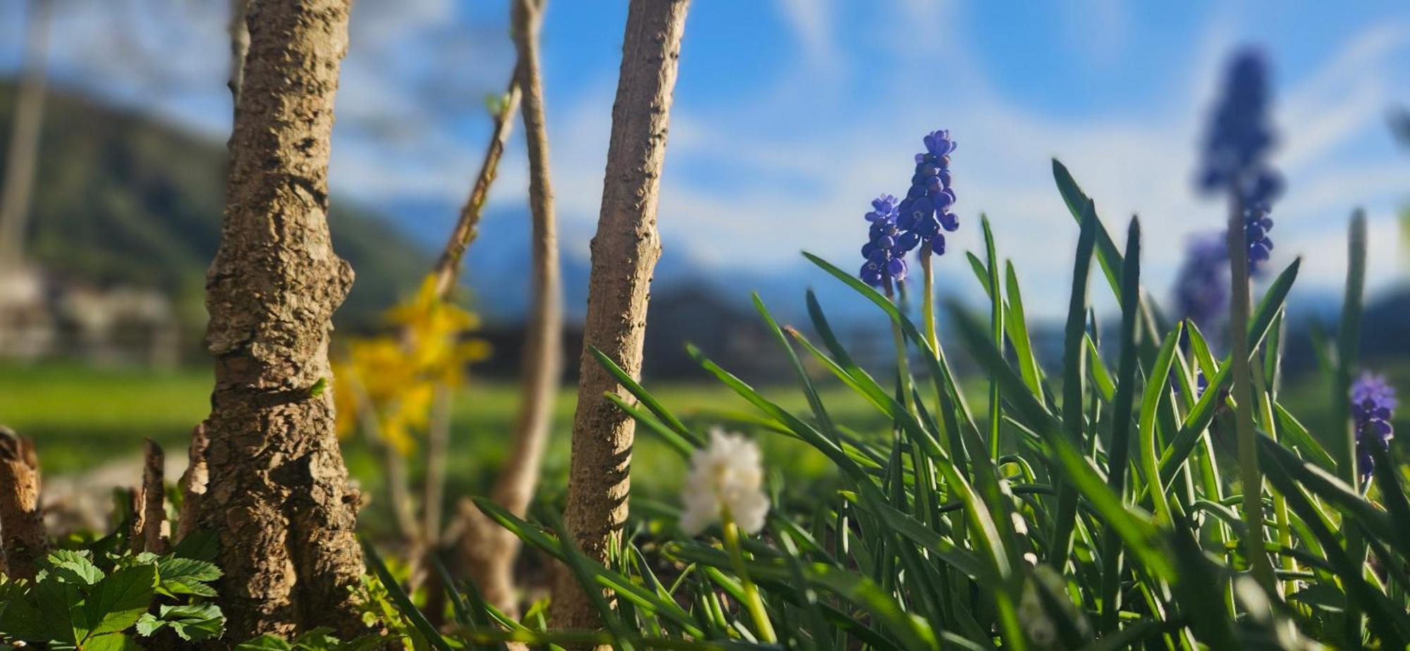 Ansitz Heufler Rasun Anterselva Exterior foto